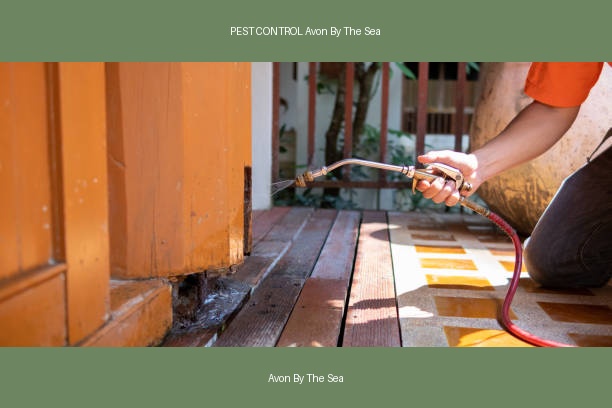 PEST CONTROL Avon By The Sea